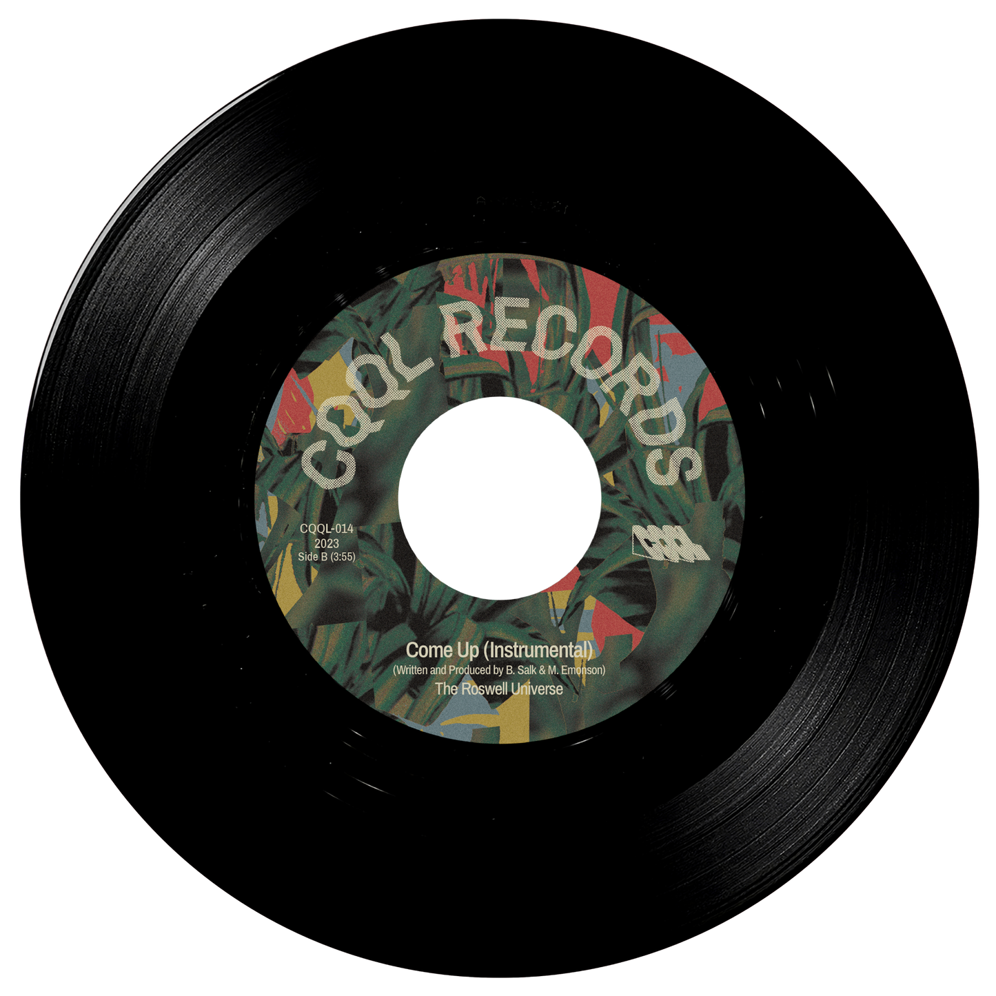 Black vinyl record with a colorful label on a white background