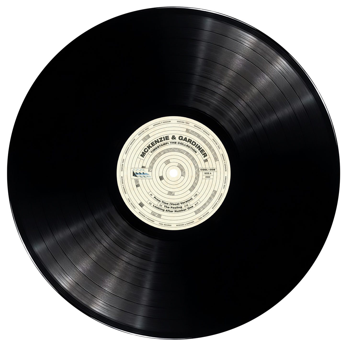 Black vinyl record with a white label on a white background