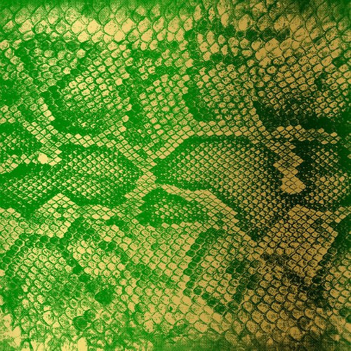 Zackey Force Funk - Money Green Viper - LP